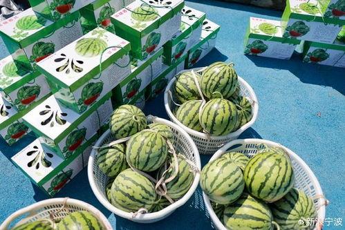 娱乐吃瓜甜,揭秘明星们的甜蜜生活  第3张